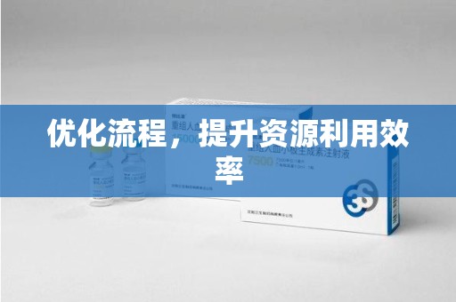 宜昌优化流程，提升资源利用效率