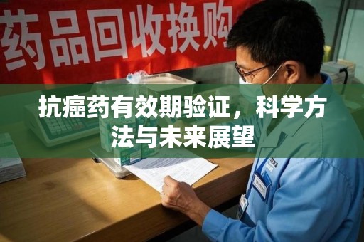 宜昌抗癌药有效期验证，科学方法与未来展望