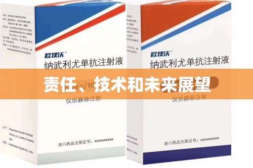 宜昌责任、技术和未来展望
