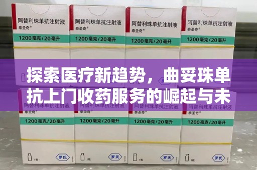 宜昌探索医疗新趋势，曲妥珠单抗上门收药服务的崛起与未来