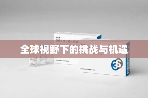 宜昌全球视野下的挑战与机遇