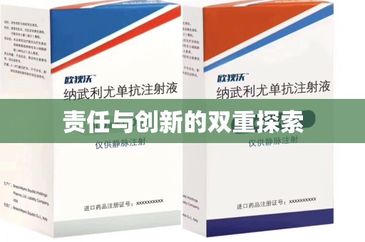 宜昌责任与创新的双重探索