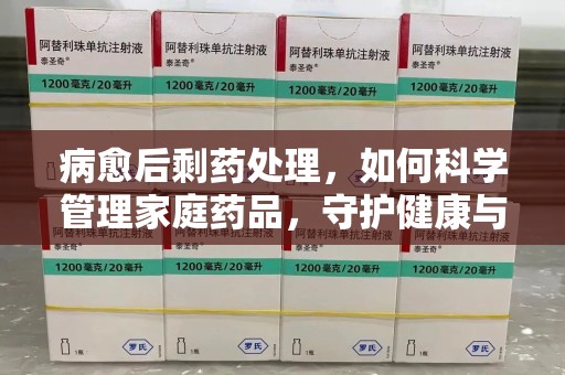 宜昌病愈后剩药处理，如何科学管理家庭药品，守护健康与环境