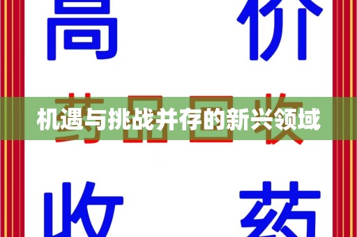 宜昌机遇与挑战并存的新兴领域