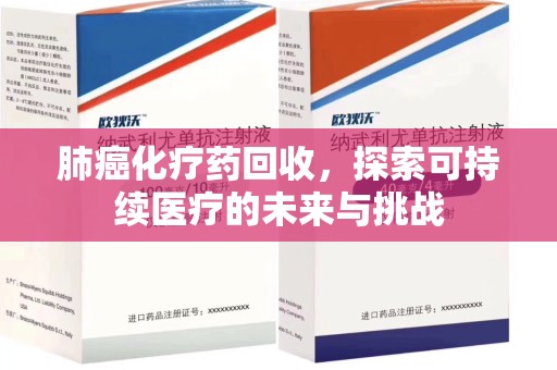 宜昌肺癌化疗药回收，探索可持续医疗的未来与挑战