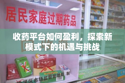 宜昌收药平台如何盈利，探索新模式下的机遇与挑战