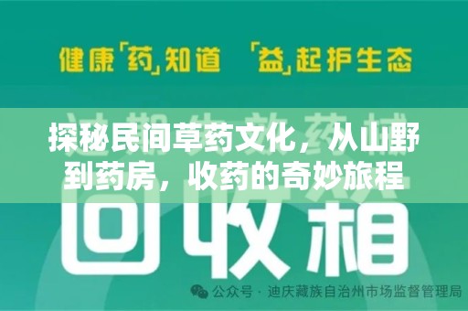 宜昌探秘民间草药文化，从山野到药房，收药的奇妙旅程