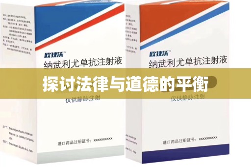 宜昌探讨法律与道德的平衡