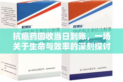 宜昌抗癌药回收当日到账，一场关于生命与效率的深刻探讨